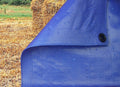200gsm Blue Tarpaulin 