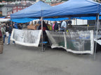310gsm Transparent Tarpaulin