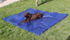 Heavy Duty 350gsm Blue/Beige Tarpaulin