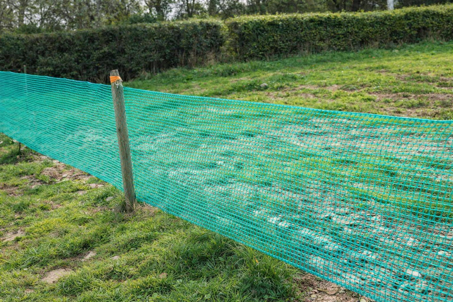 Green 50GSM Netting