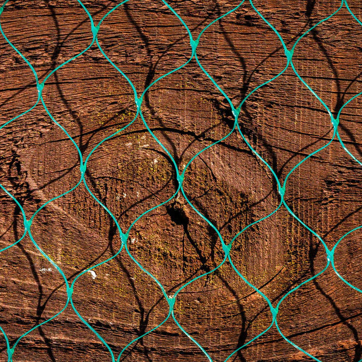 Green Anti Bird Netting