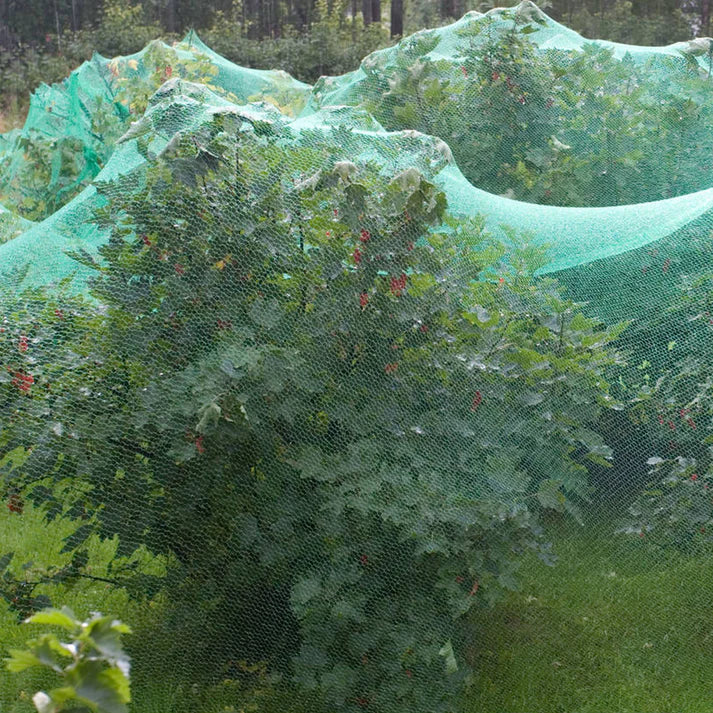 Green Anti Bird Netting