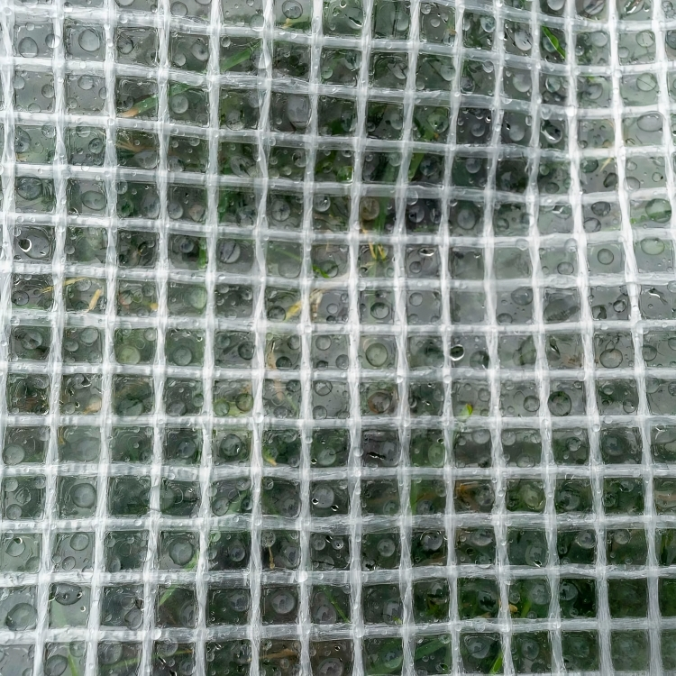 100gsm Transparent Tarpaulin Cover with Eyelets, Waterproof Clear Sheet for Greenhouse, Garden Furniture and Worksite Use